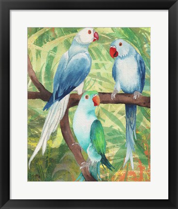 Framed Tropical Birds I Print