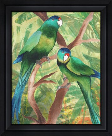 Framed Tropical Birds II Print