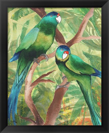 Framed Tropical Birds II Print