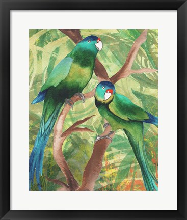 Framed Tropical Birds II Print