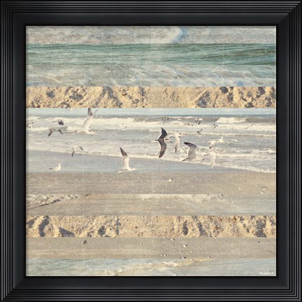 Framed Flying Beach Birds II Print