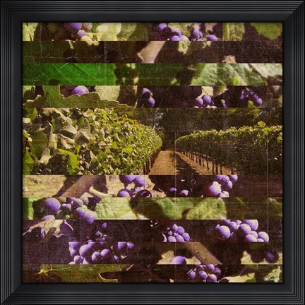 Framed Vinecraft Horizons I Print