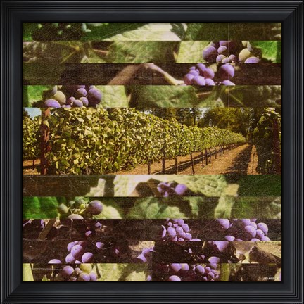 Framed Vinecraft Horizons II Print
