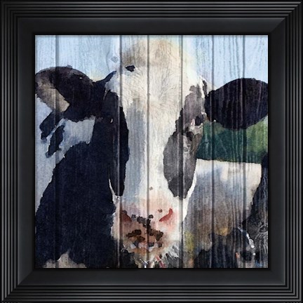 Framed Sweet Daisy II Print