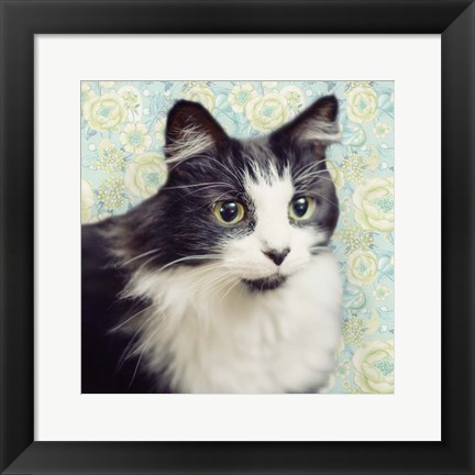 Framed Cat on Paisley Print