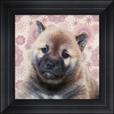 Framed Shiba Inu Portrait Print