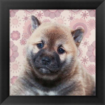 Framed Shiba Inu Portrait Print