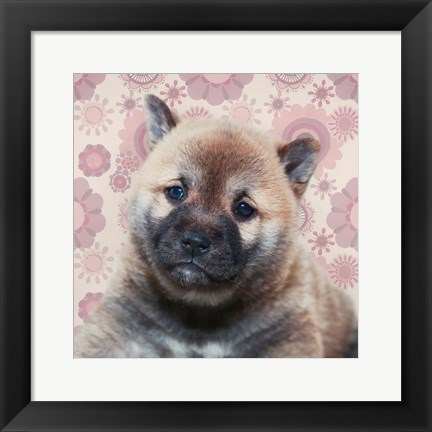 Framed Shiba Inu Portrait Print