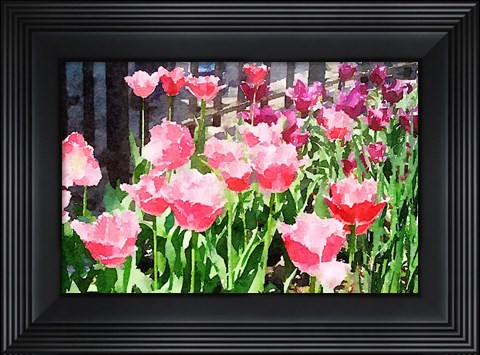Framed In the Park Print