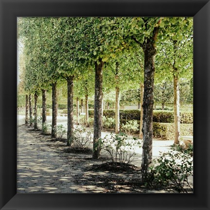 Framed Parisian Stroll I Print