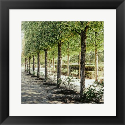 Framed Parisian Stroll I Print