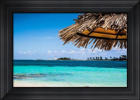 Framed Under The Shade Print