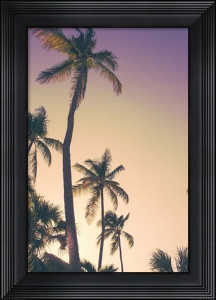 Framed Evening Palms Print