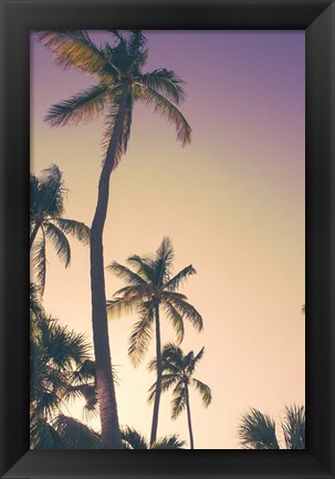 Framed Evening Palms Print
