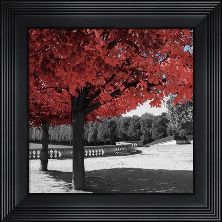 Framed Garden Walk Print