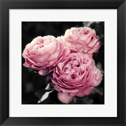 Framed Pink Florals in Noir Print