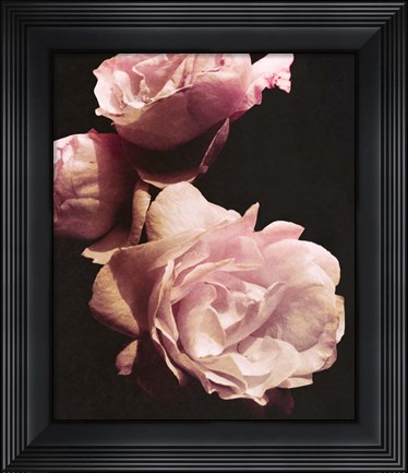 Framed Solitary Bouquet II Print