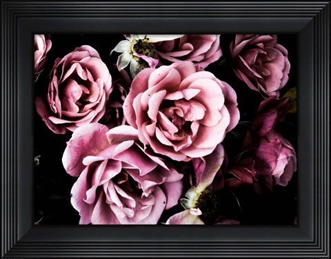 Framed Baroque Roses Print