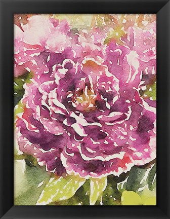 Framed Purple Blossoms Print