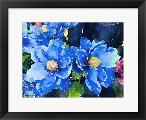 Framed Popping Blues Print