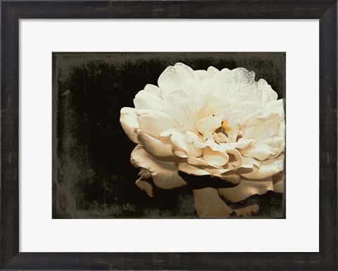 Framed Blooming Elegance Print