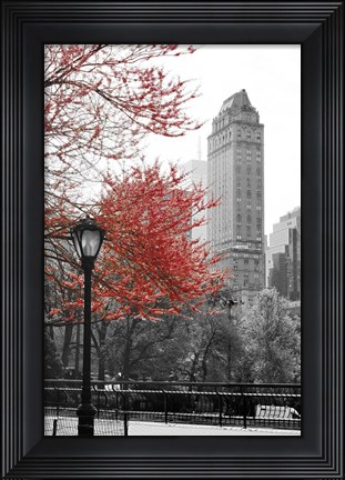 Framed Central Park with Red Tree Print