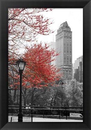 Framed Central Park with Red Tree Print