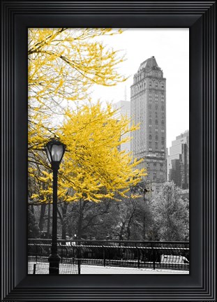 Framed Central Park with Yellow Tree Print