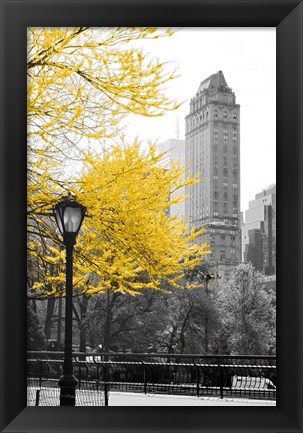 Framed Central Park with Yellow Tree Print