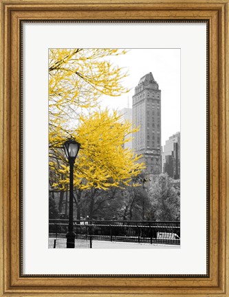 Framed Central Park with Yellow Tree Print