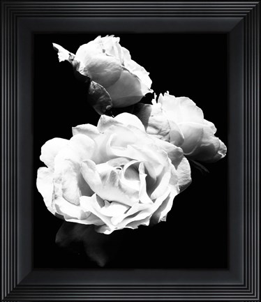 Framed Dramatic Love Blooms  I Print