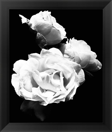 Framed Dramatic Love Blooms  I Print