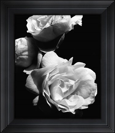 Framed Dramatic Love Blooms II Print