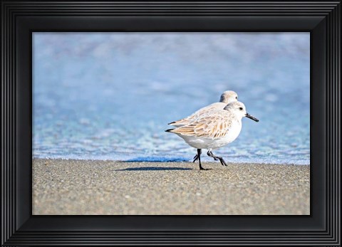 Framed Walk Along The Coast Print