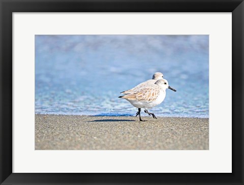 Framed Walk Along The Coast Print