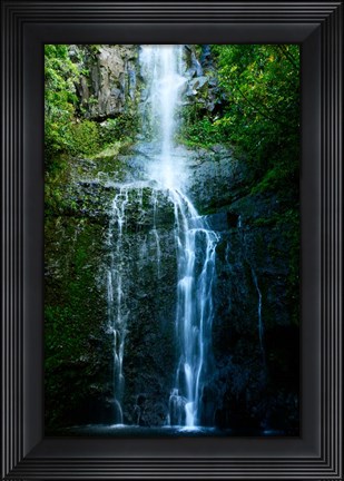 Framed Natural Rain Forest Print
