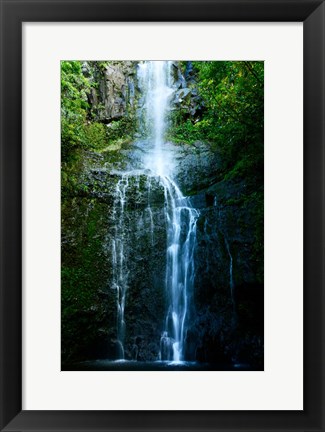 Framed Natural Rain Forest Print