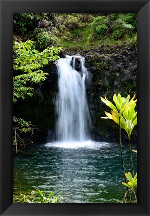 Framed Hide Aways Print