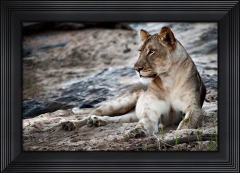 Framed Afternoon Pose Print