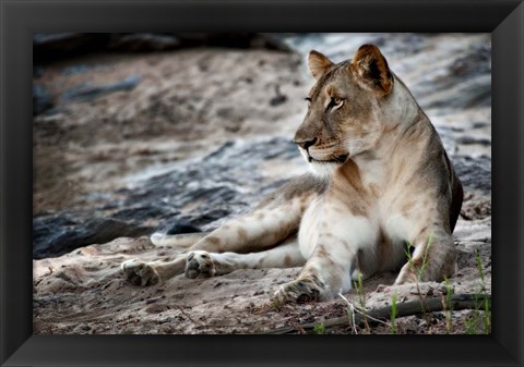 Framed Afternoon Pose Print