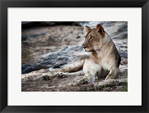 Framed Afternoon Pose Print