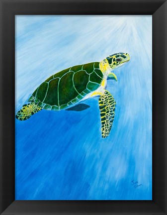 Framed Green Turtle Print