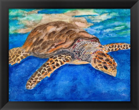 Framed Turtle at Sea Print