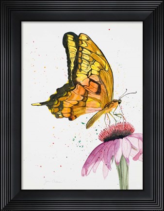 Framed Butterfly Nectar Print