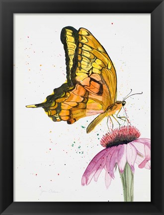 Framed Butterfly Nectar Print