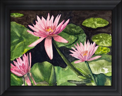Framed Water Lillie&#39;s Print