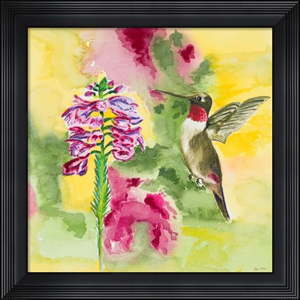 Framed Watercolor Hummingbird Print