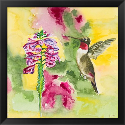 Framed Watercolor Hummingbird Print