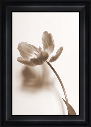 Framed Delicate Floral I Print