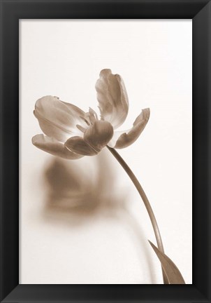 Framed Delicate Floral I Print